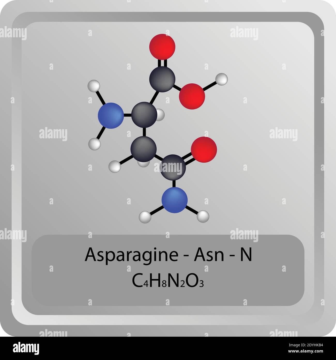 Asparagine – Asn – N Amino Acid chemical structure. Molecular formula ball and stick model Molecule. Biochemistry, medicine and science education. Stock Vector