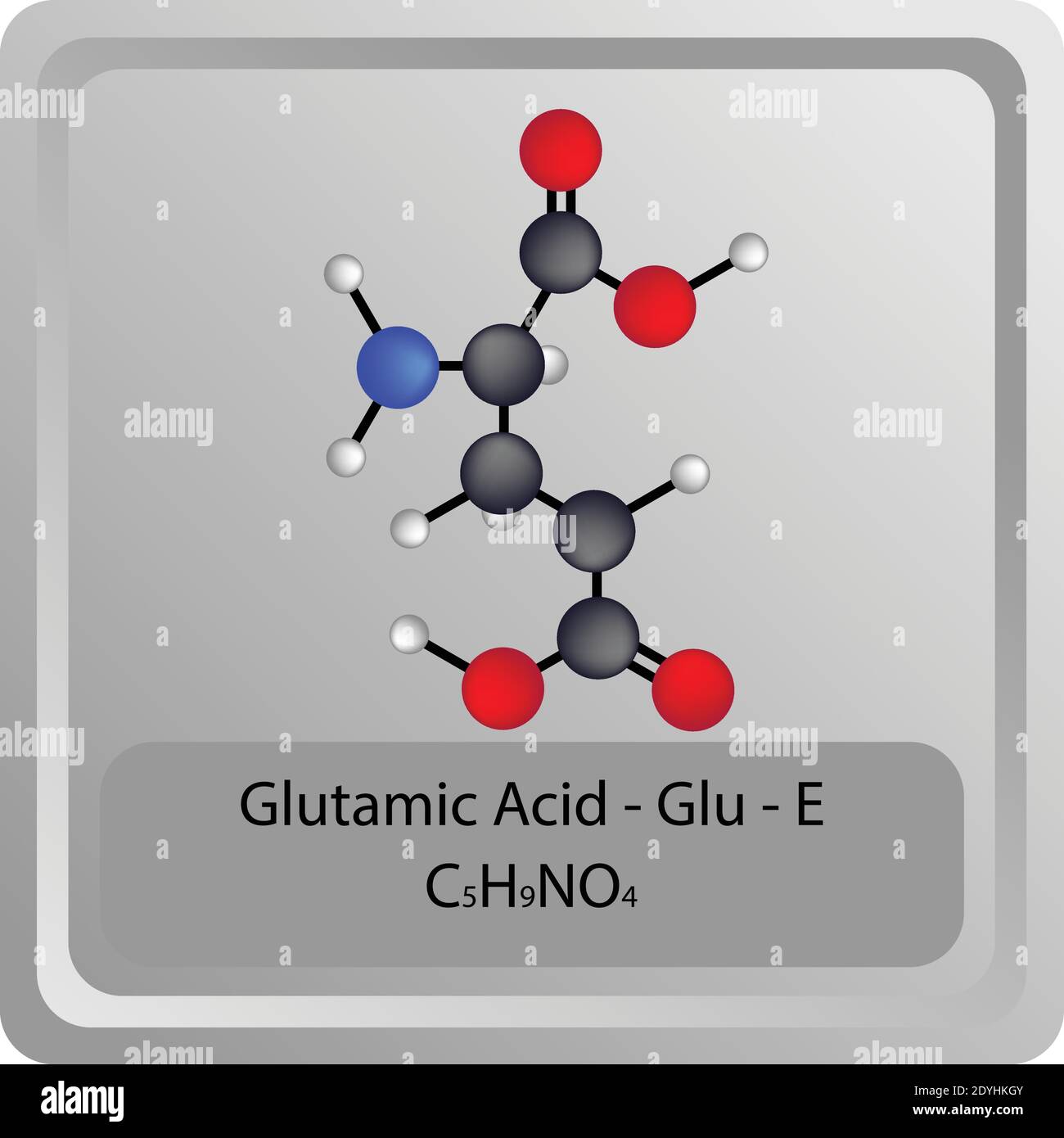 Glutamic Acid Glu E Amino Acid chemical structure Molecular