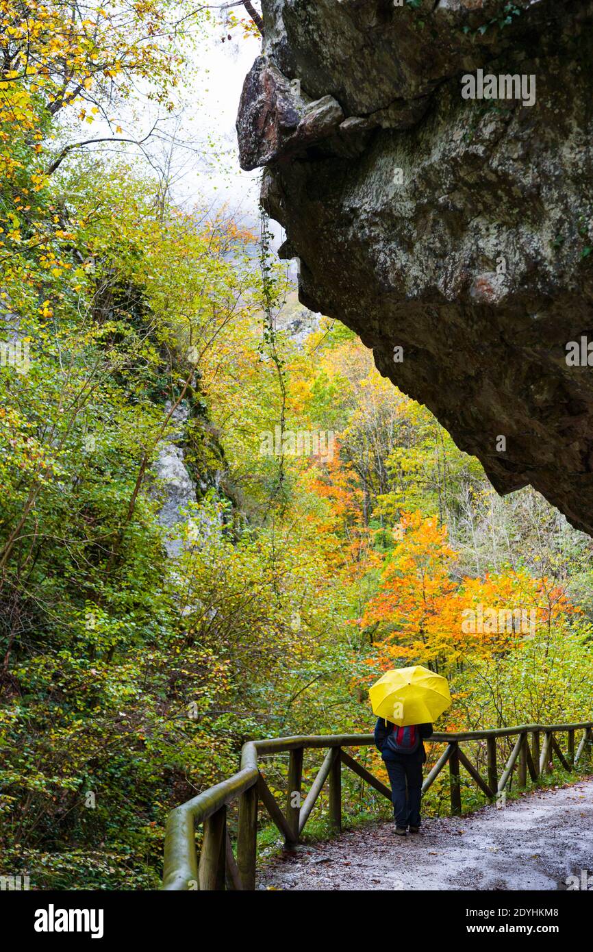 Colores del bosque de otoño hi-res stock photography and images - Alamy