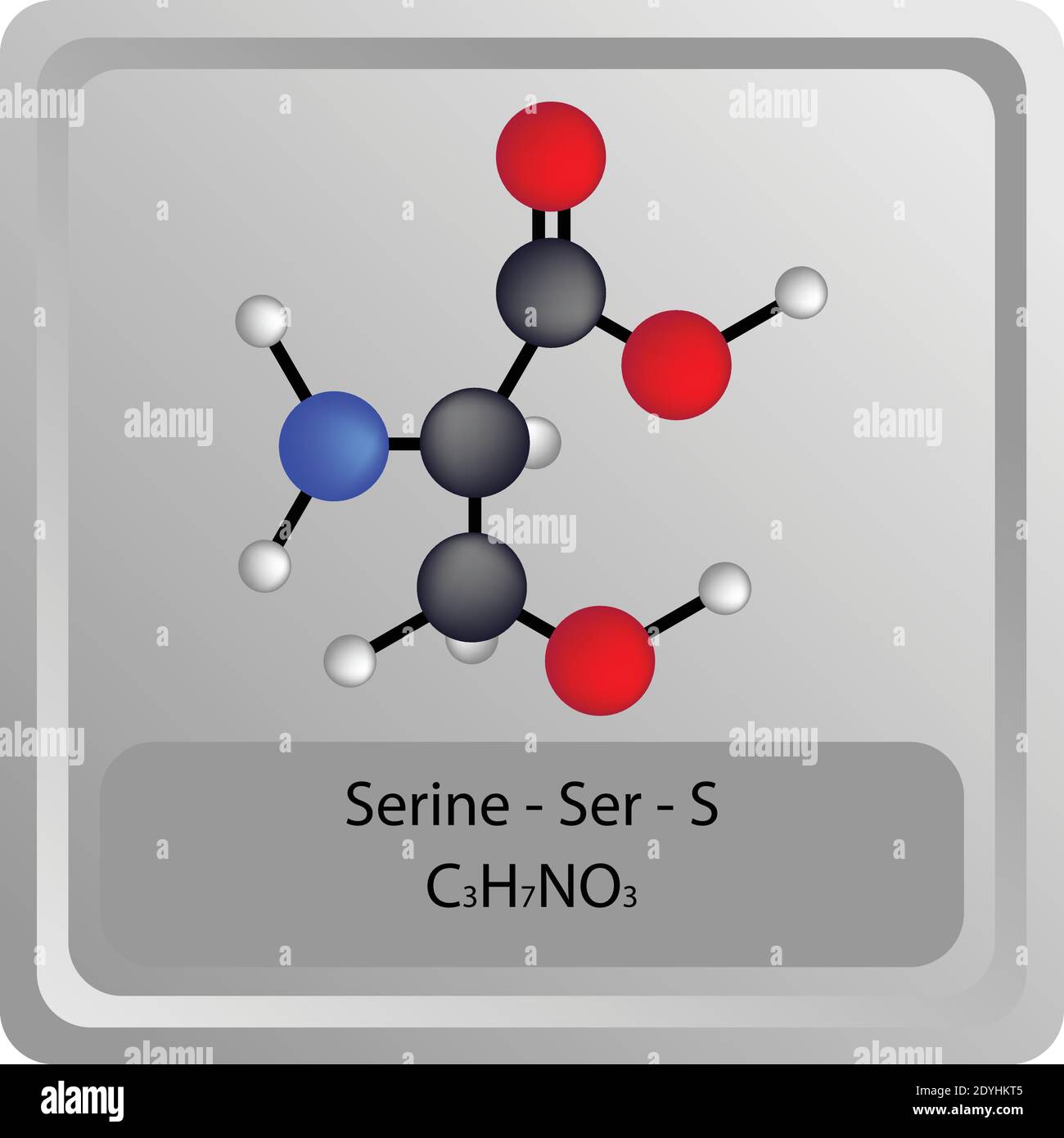 Serine – Ser – S Amino Acid chemical structure. Molecular formula ball and stick model Molecule. Biochemistry, medicine and science education. Stock Vector