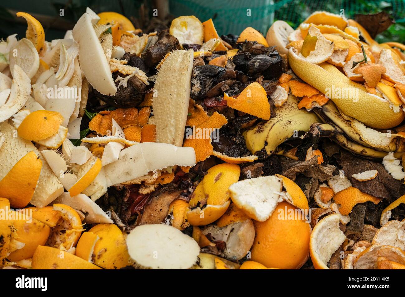 Food waste dump discarded for composting fertilizer,consumerism trash ...