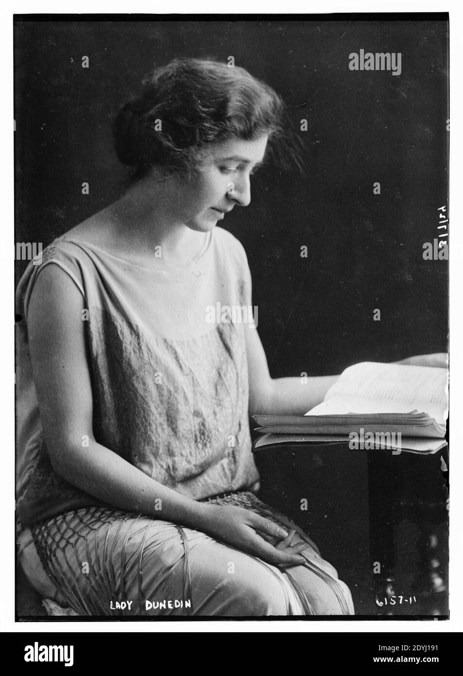 Dunedin art Cut Out Stock Images & Pictures Alamy