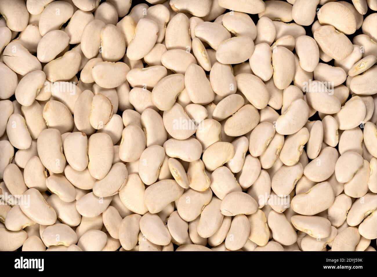 Large lima beans background and texture. Top view Stock Photo Alamy