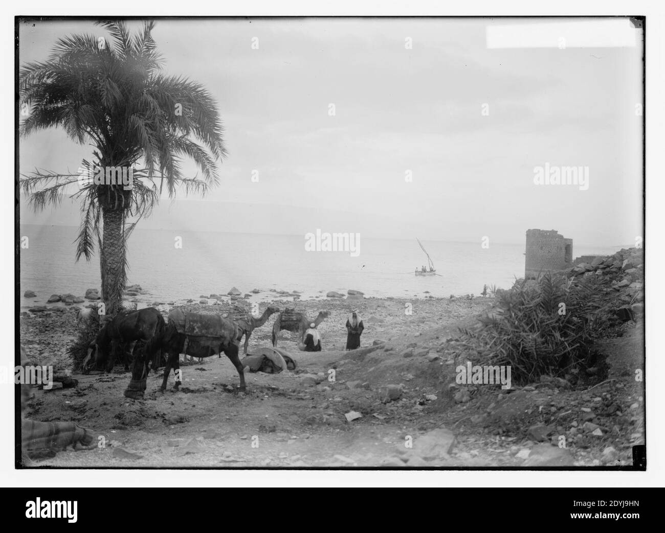 Lakeside architecture Cut Out Stock Images & Pictures Alamy