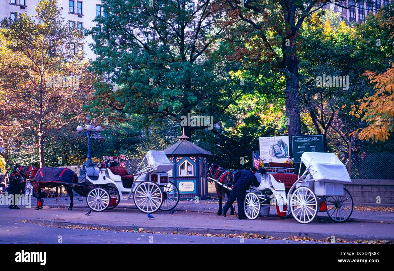 Carriages in Central Park in New York City Stock Photo