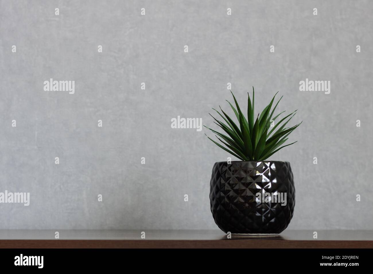 Artificial succulent plant with long pointy leaves in black textured vase placed off-centered on shelf. Right side alignment with empty space Stock Photo
