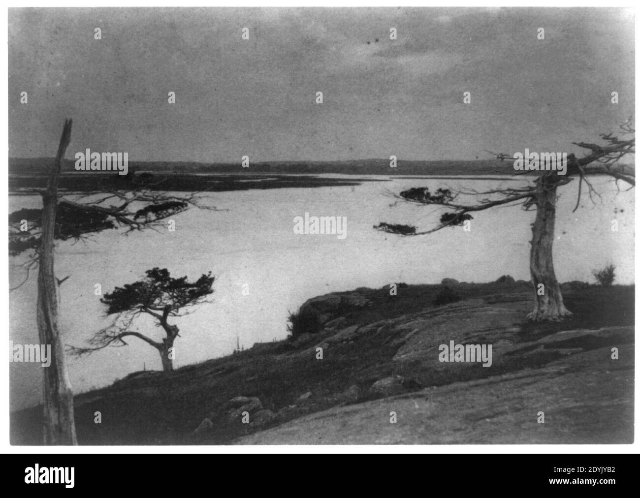 Landscape- lake with trees Stock Photo - Alamy
