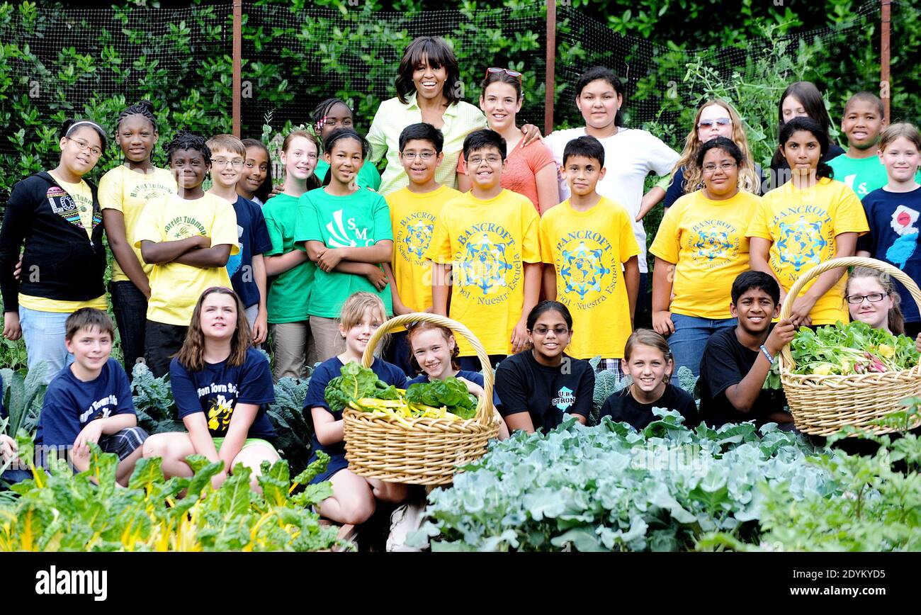 First lady Michelle Obama harvests vegetable from the White House Kitchen Garden's summer crop with children from two New Jersey communities that were affected by Hurricane Sandy and all the children who helped plant the garden in April, at the White House in Washington, DC, USA on May 28, 2013. The first lady was joined by students from Somerville, Massachusettes, Knox County, Tennessee, Milton, Vermont, Washington, DC and Union Beach and Ship Bottom, New Jersey. Photo by Olivier Douliery/ABACAPRESS.COM Stock Photo