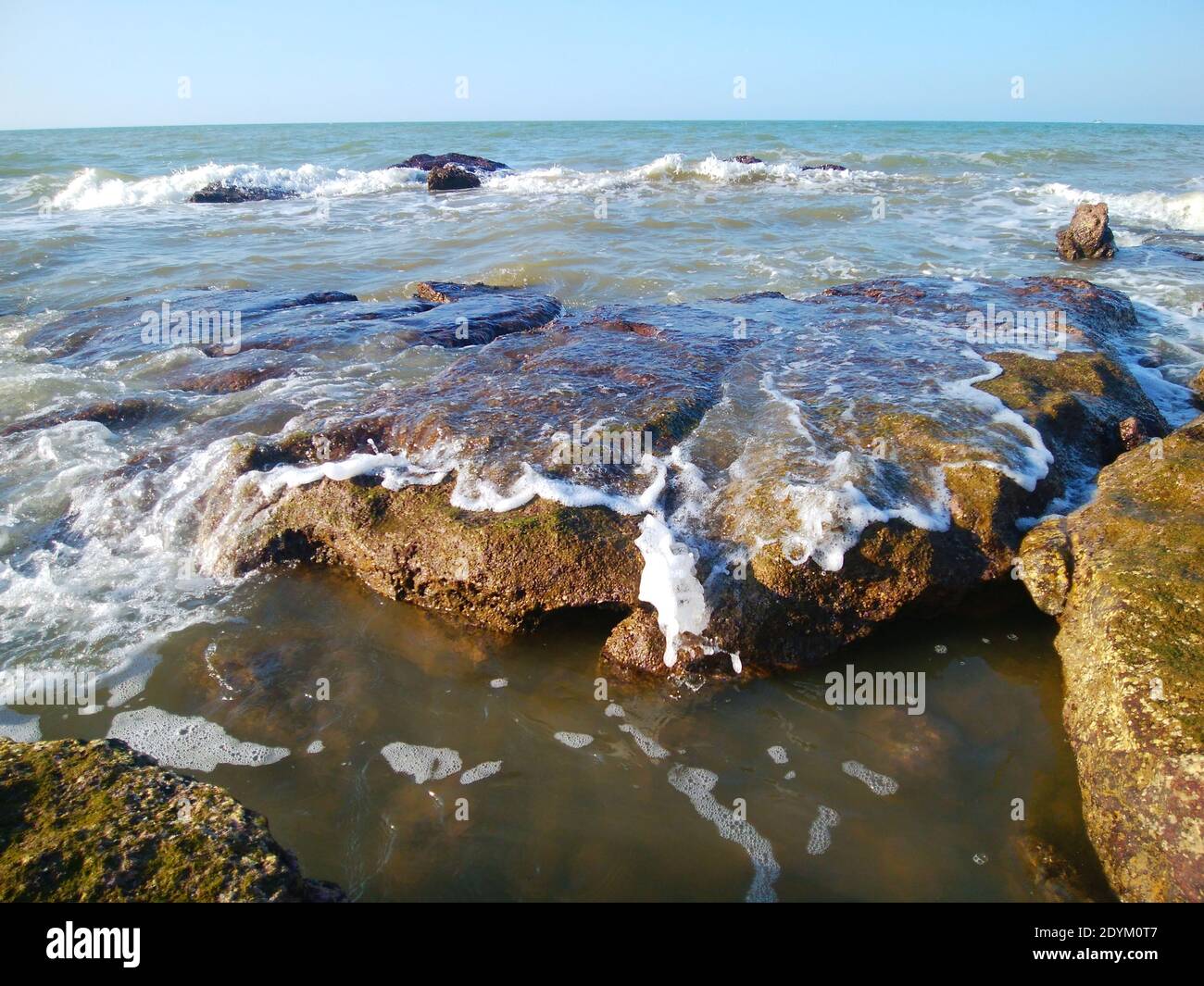 A water foam covering the rocks on the seashore Stock Photo - Alamy