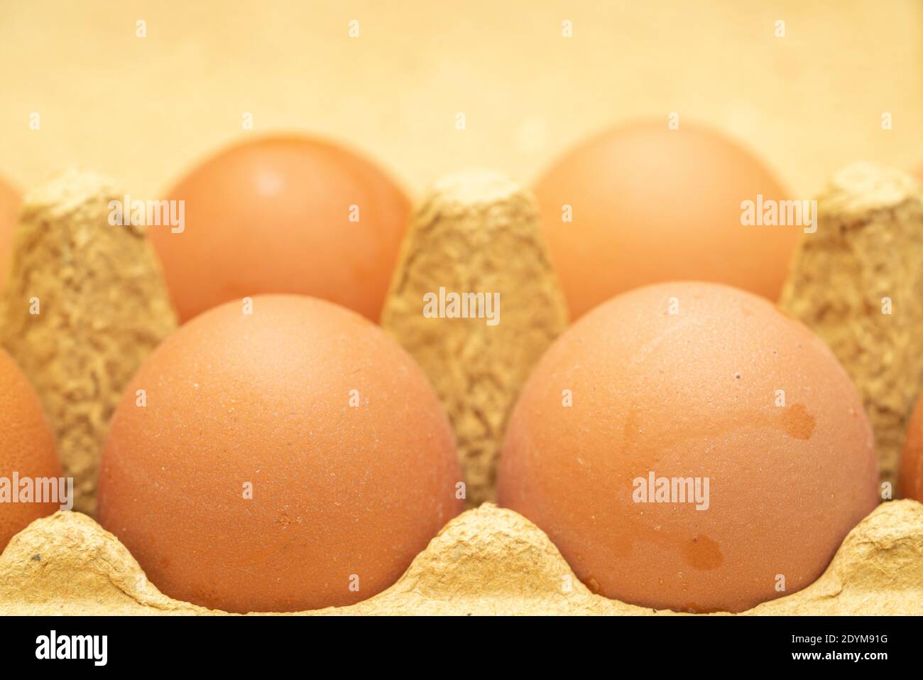 few yellow eggs in a tray close up Stock Photo