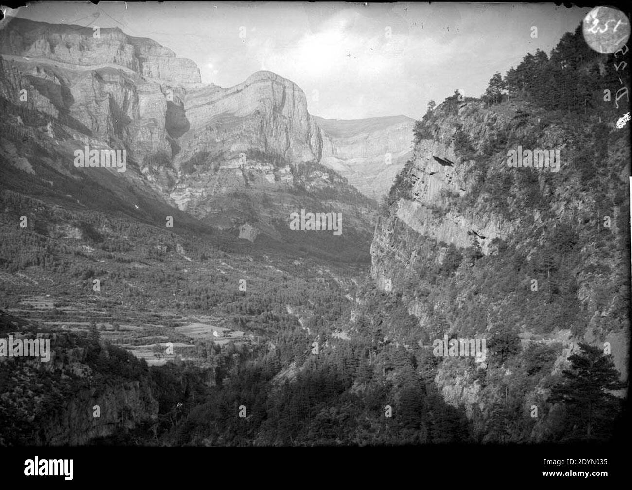 La vall d'Ordesa coberta de boscos i muntanyes al fons. Stock Photo