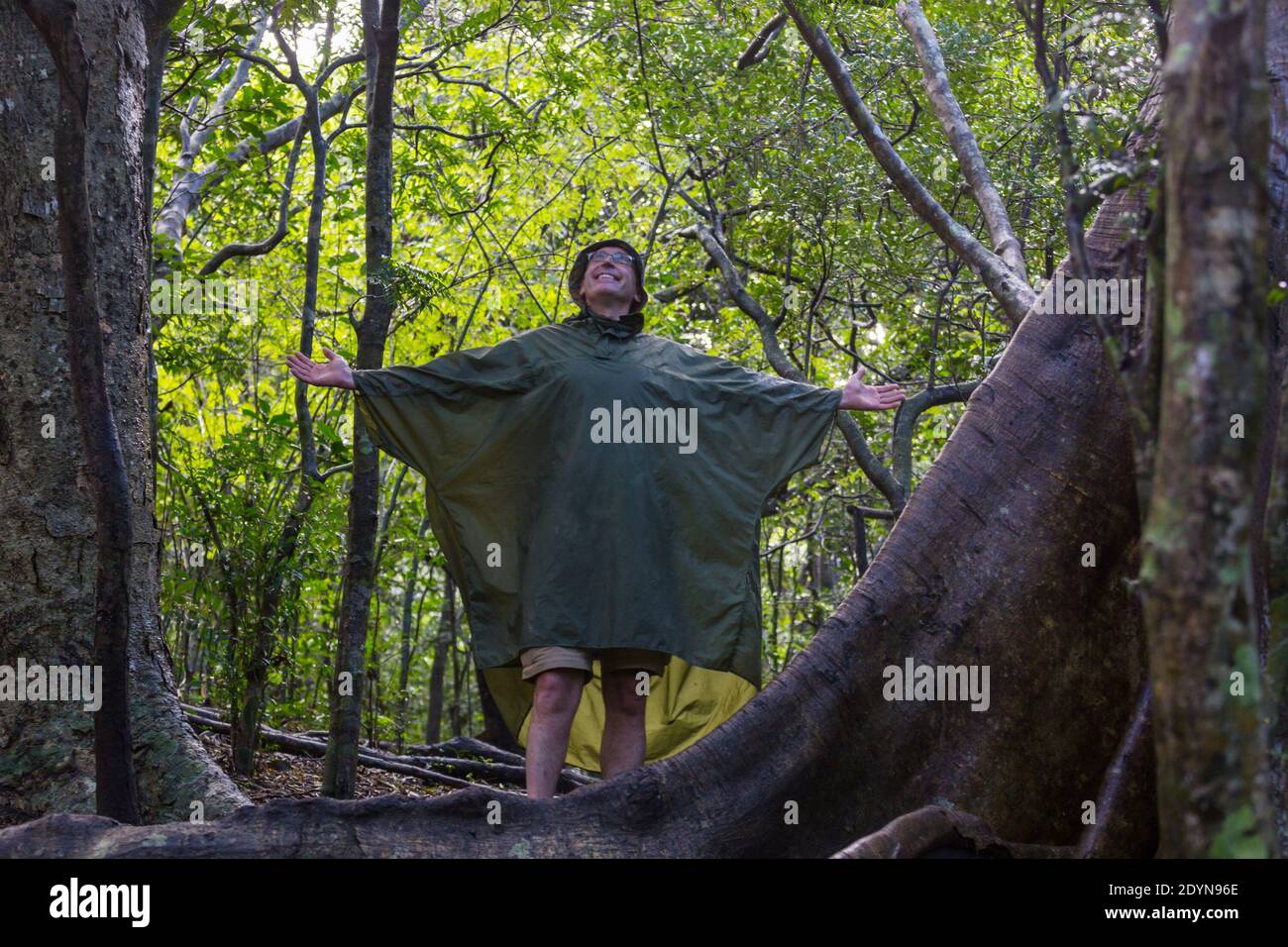 Hiking man in rain forest hi-res stock photography and images - Alamy