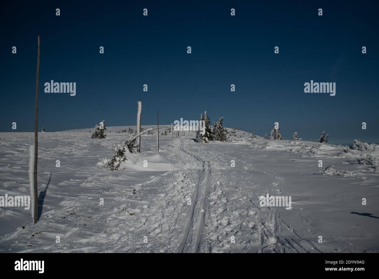 Winter Jeseniky mountains bellow Vysoka hole hill in Czech republic with snow, small shrubs, clear sky and hiking trail with ski steps Stock Photo