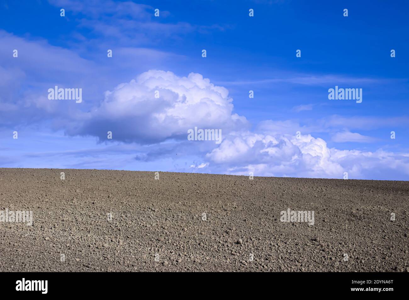 Sustainable agriculture: plowed land with blue sky and clouds. Stock Photo