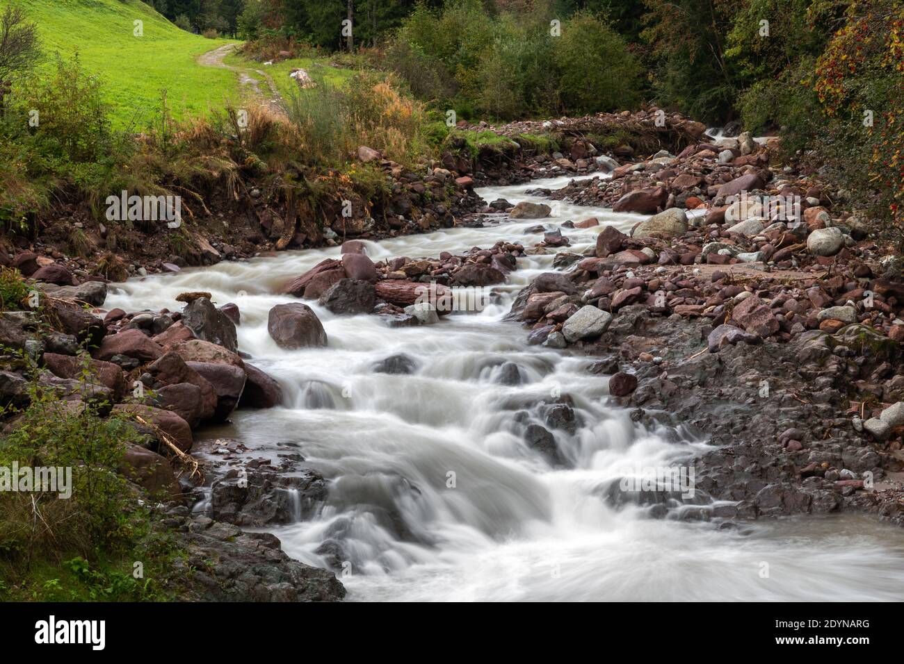 Sinichbach creek in Hafling near Meran, South Tyrol Stock Photo