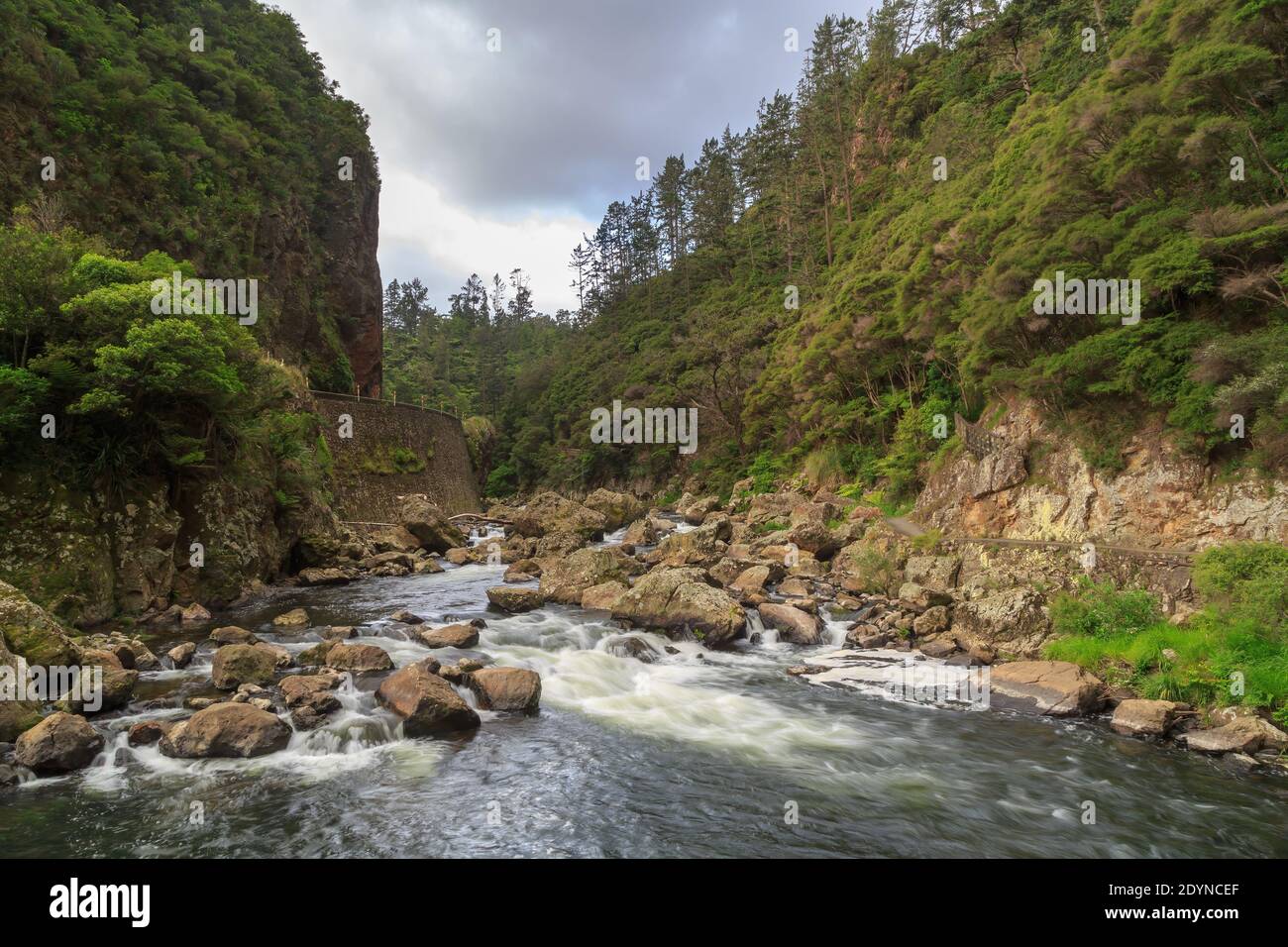 The Karangahake Gorge, New Zealand. The Ohinemuri River flows at the bottom of a deep valley. State Highway 2 runs along the cliff at left Stock Photo