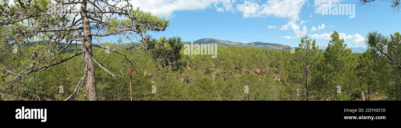 Panoramic view of sierra de guadarrama, la jarosa, madrid, spain. Stock Photo