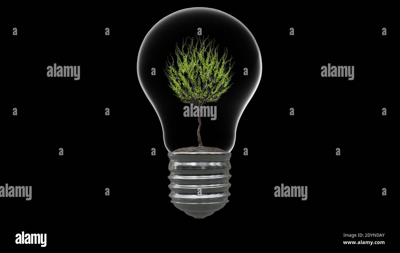 Light bulb with tree inside on black background. Green Energy Concept ...