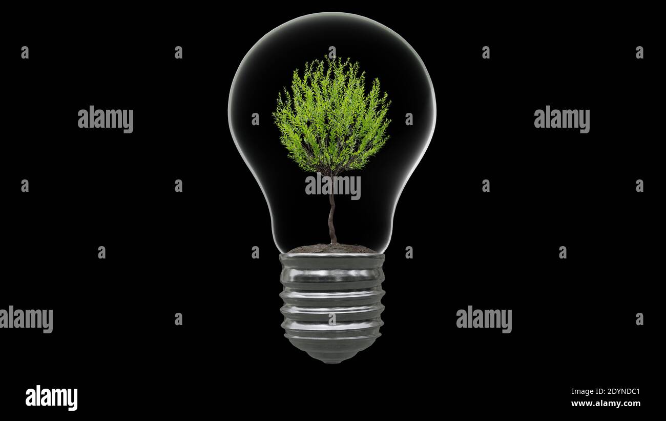 Light bulb with tree inside on black background. Green Energy Concept ...