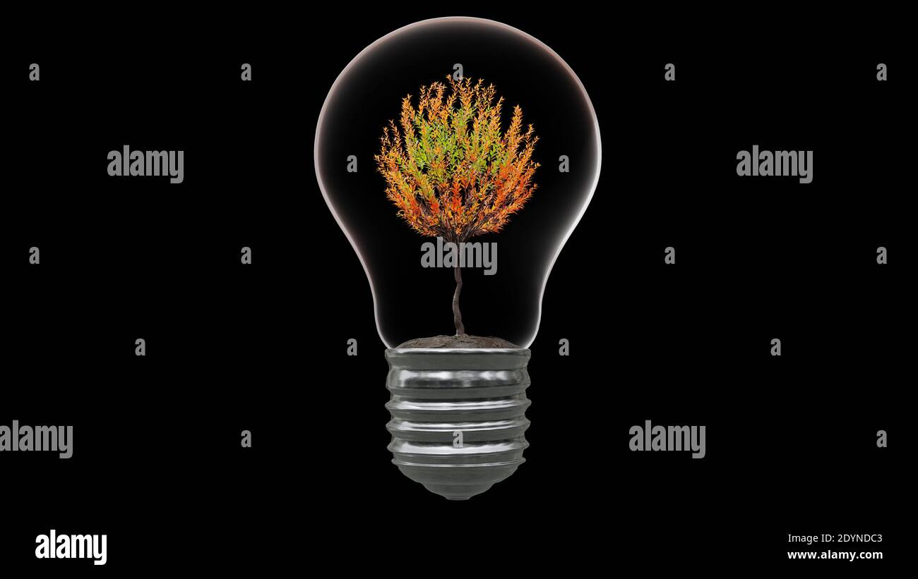 Light bulb with tree inside on black background. Green Energy Concept ...
