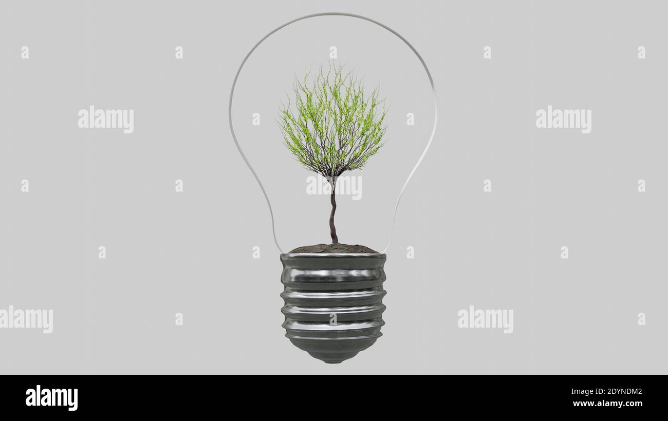 Light bulb with tree inside on white background. Green Energy Concept ...
