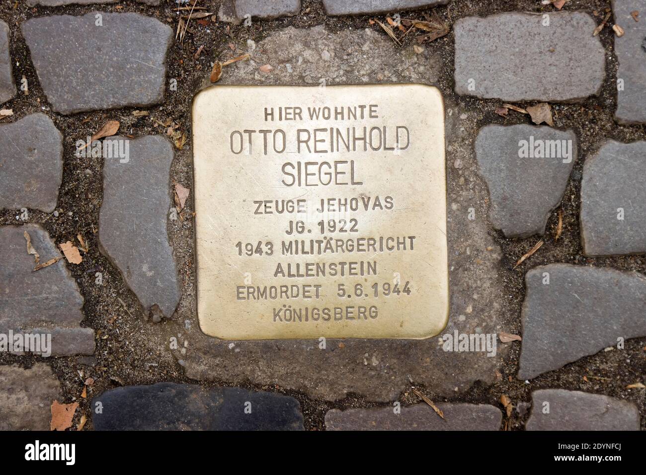 Stolperstein, commemoration of Jehovah's Witness Otto Reinhold Siegel, Berlin, Germany Stock Photo