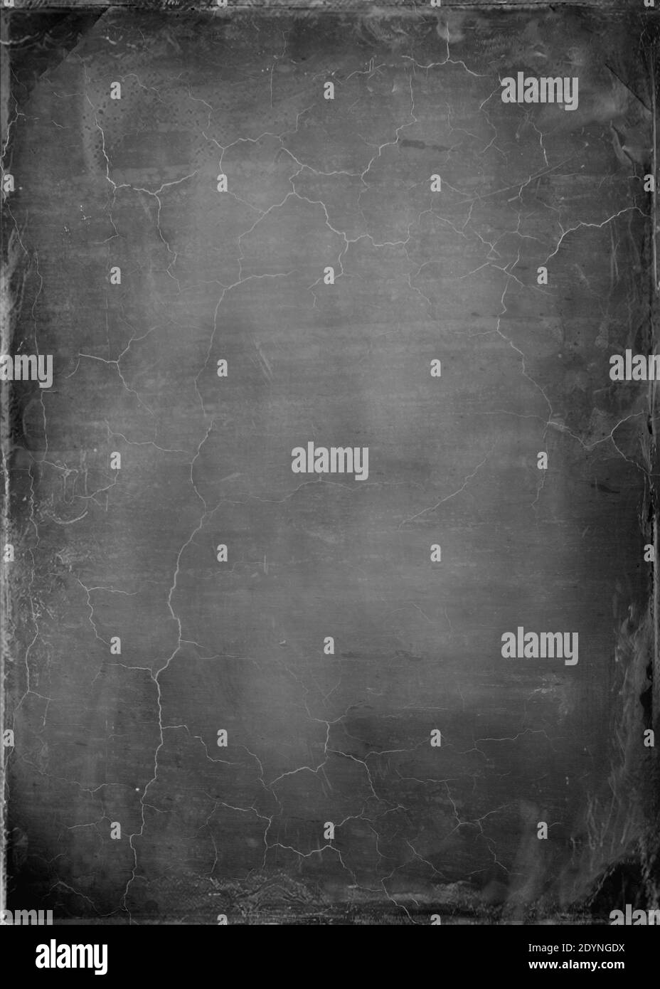 Vintage Retro Old Photograph Century Botany Graphics Antique Classic History Historic Historical Archival Archive Lifestyles Nostalgia Nostalgic Old Fashioned Old Fashion Popular Bw Black And White Past Past Times Past Time