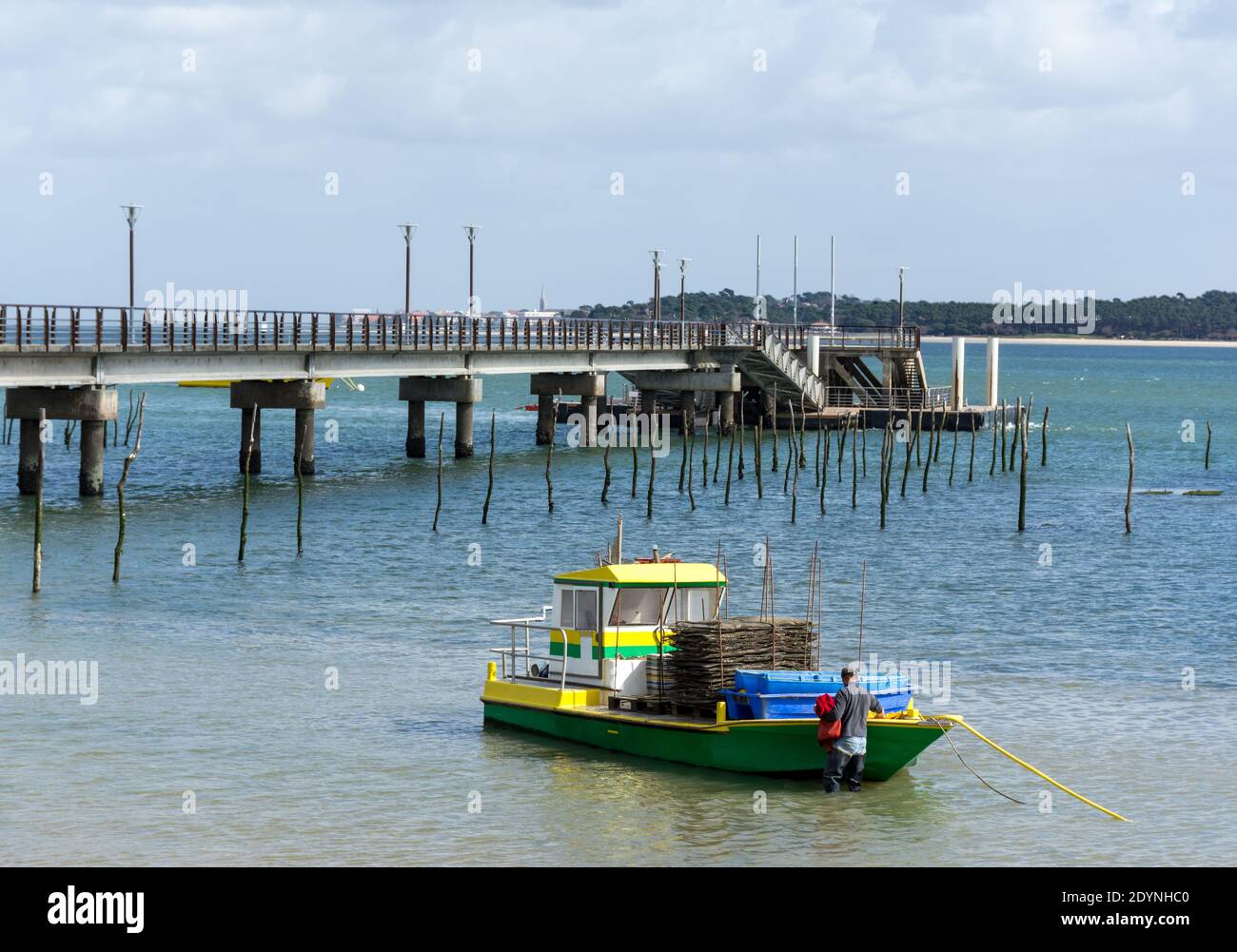 Cap Ferret (Arcahon Bay, France). Oyster farmer at work Stock Photo