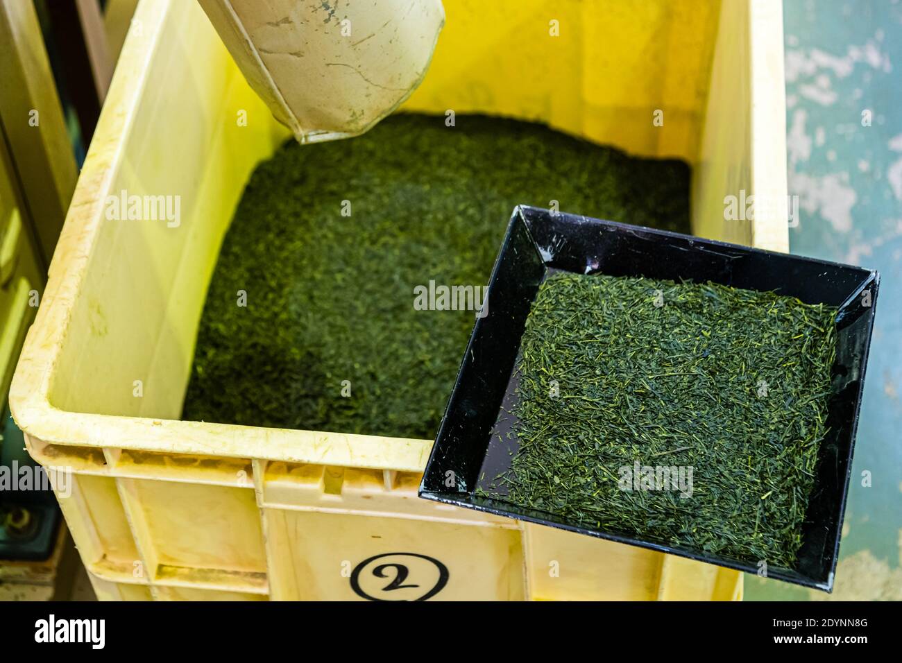 Green Tea Factory in Hamamatsu, Japan Stock Photo