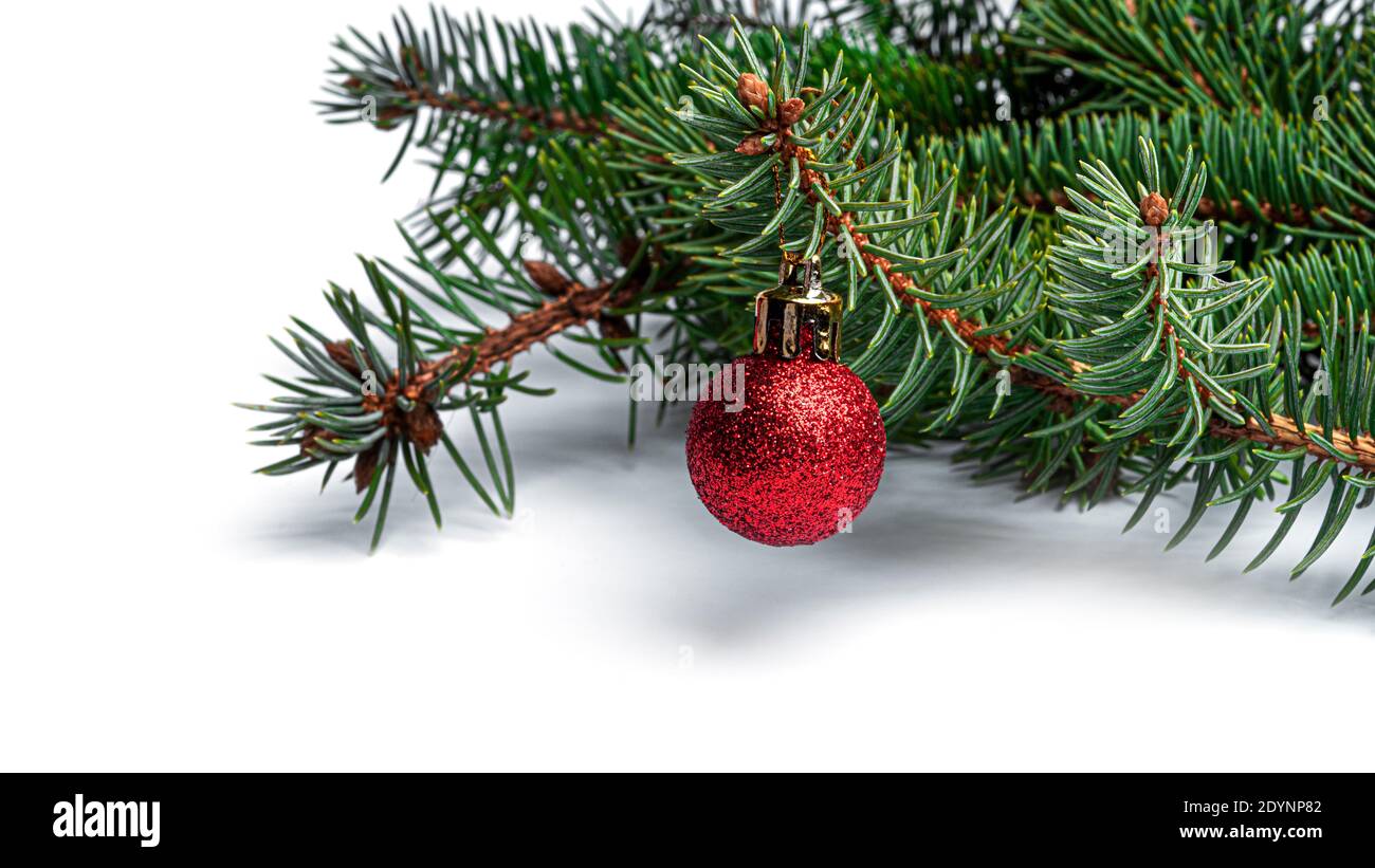Decorated Christmas tree on a white background. Stock Photo