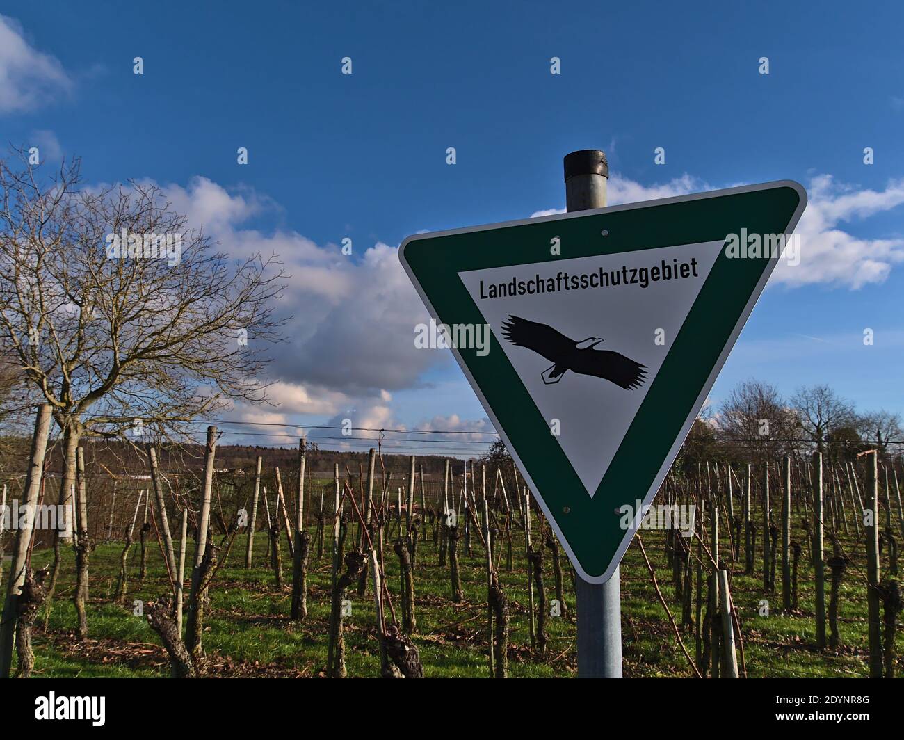 Green and white colored metal sign in triangular shape with black painted bird of prey informing hikers that they enter a landscape protected area. Stock Photo