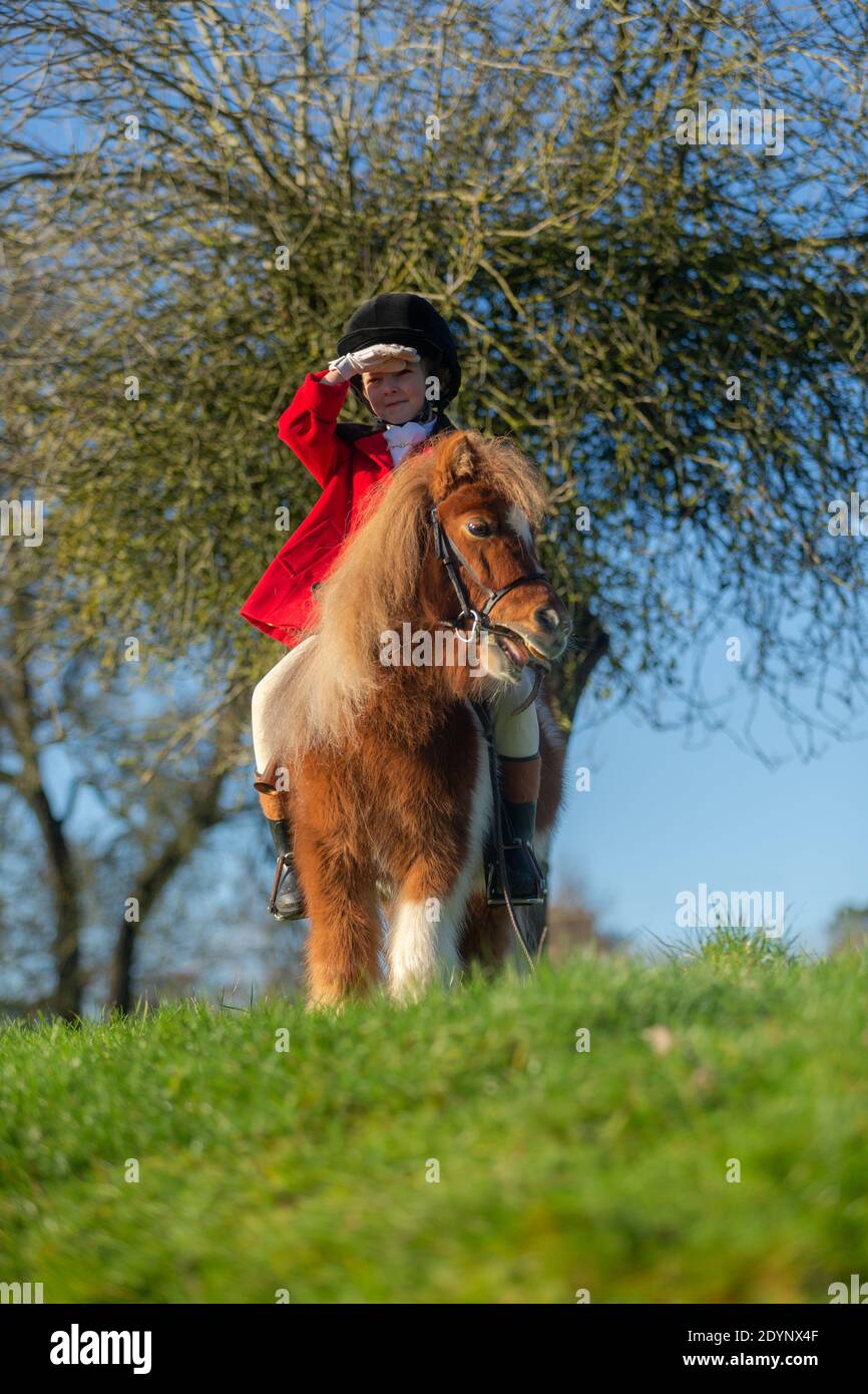 Arley, Worcestershire, UK. 27th Dec, 2020. After the low-key Boxing Day hunts due to Covid restrictions, 7-year-old Henley Mills gets to act out his own 'hunt' this morning. Dressed in his finest red tunic, hard hat and sitting masterfully on his mount Radish - a 7 year old pony - Henley has a moment of glory. Henley and his family, of Arley in Worcestershire would normally have attended the Albrighton and Woodland Hunt at Hagley Hall, but spectators and followers were absent due to Covid rules, which left him disappointed. Credit: Peter Lopeman/Alamy Live News Stock Photo