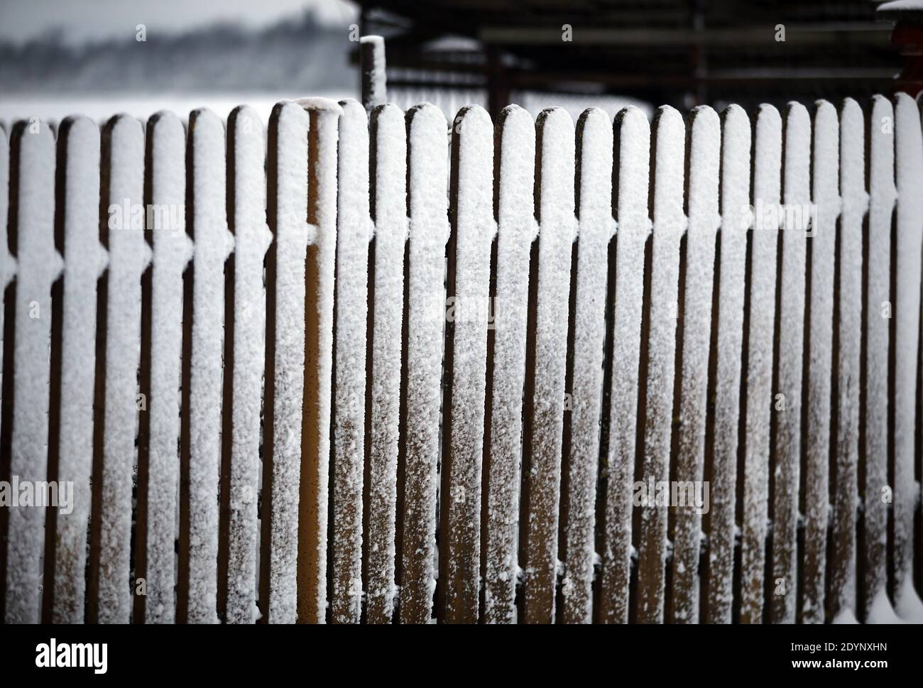 Old wooden fence covered with snow. Winter landscape in Lithuania Stock ...