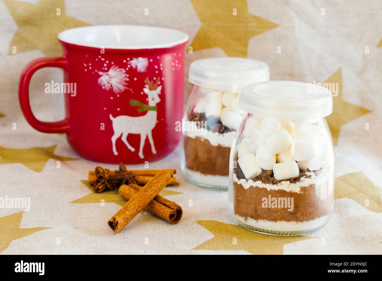 hot-chocolate-biscuit-cacao-christmas-edible-presents-hot-drink