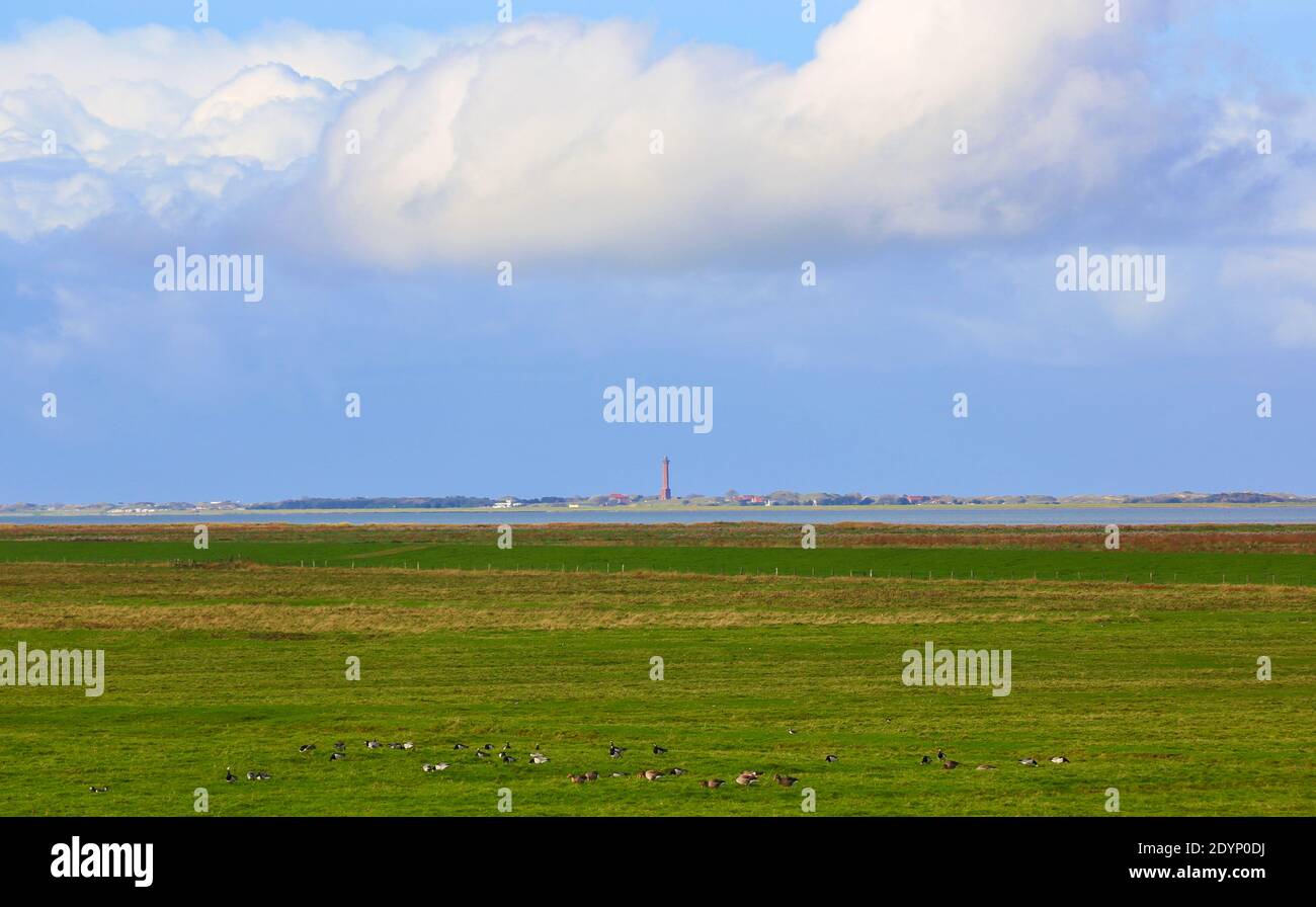 Here on the North Sea coast in East Frisia, you can let your mind wander. In the distance you can see the island of Norderney. Stock Photo