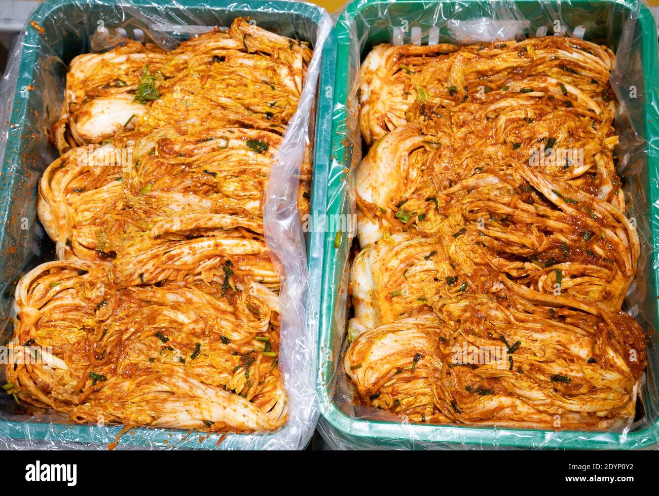 27 December 2020 - Iksan, South Korea: (Photo taken by Dec, 17) South Korean  Workers mix with the seasonings make fresh kimchi at the Pulmuone Kimchi  factory in Iksan City, South of