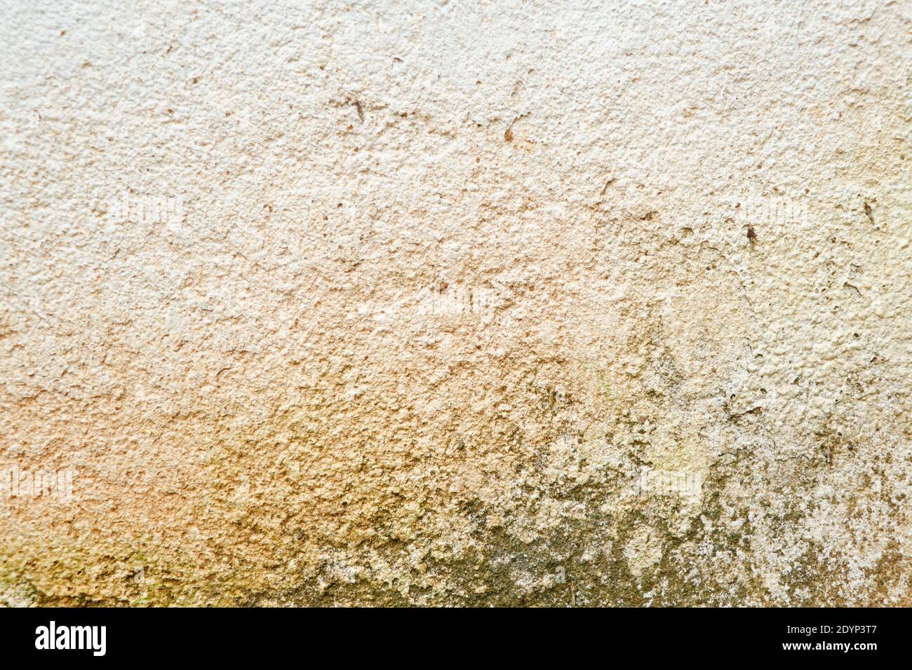 Grunge Look White Wall background Stock Photo