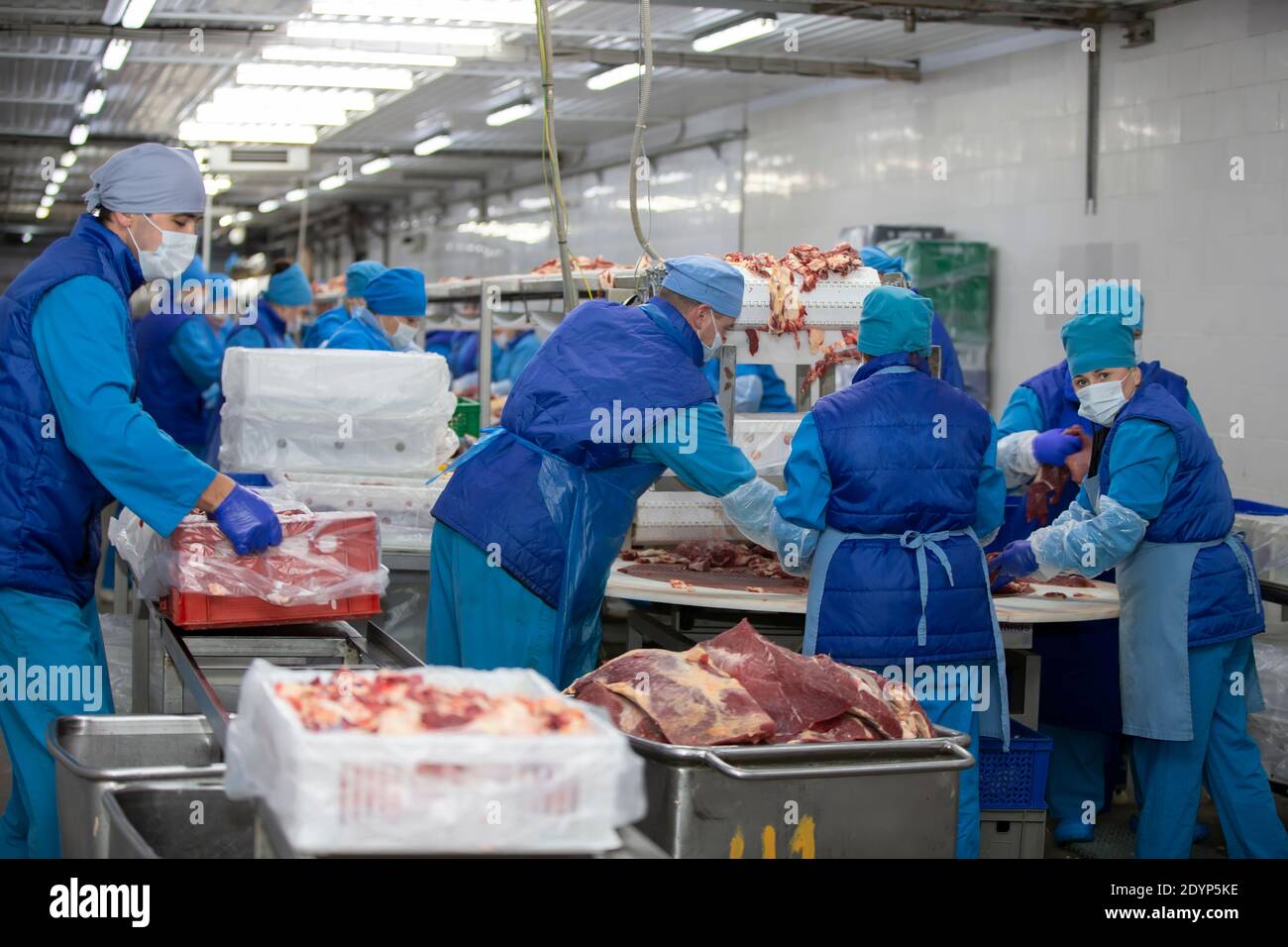 Belarus, Gomilsky district, 13 11 2020. Meat production. workers behind a conveyor belt at a meat factory. Stock Photo