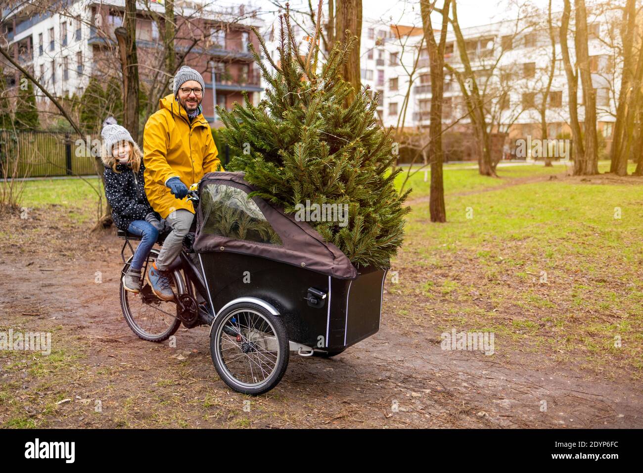 Father and daughter having a ride with cargo bike transporting Christmas tree Stock Photo