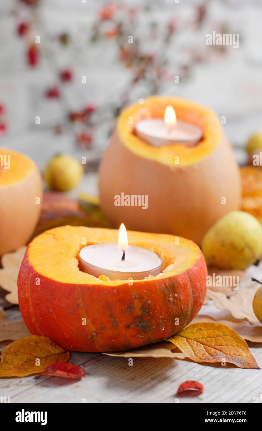 Small pumpkins serve as tealight candle holders in an autumn garden display. UK Stock Photo