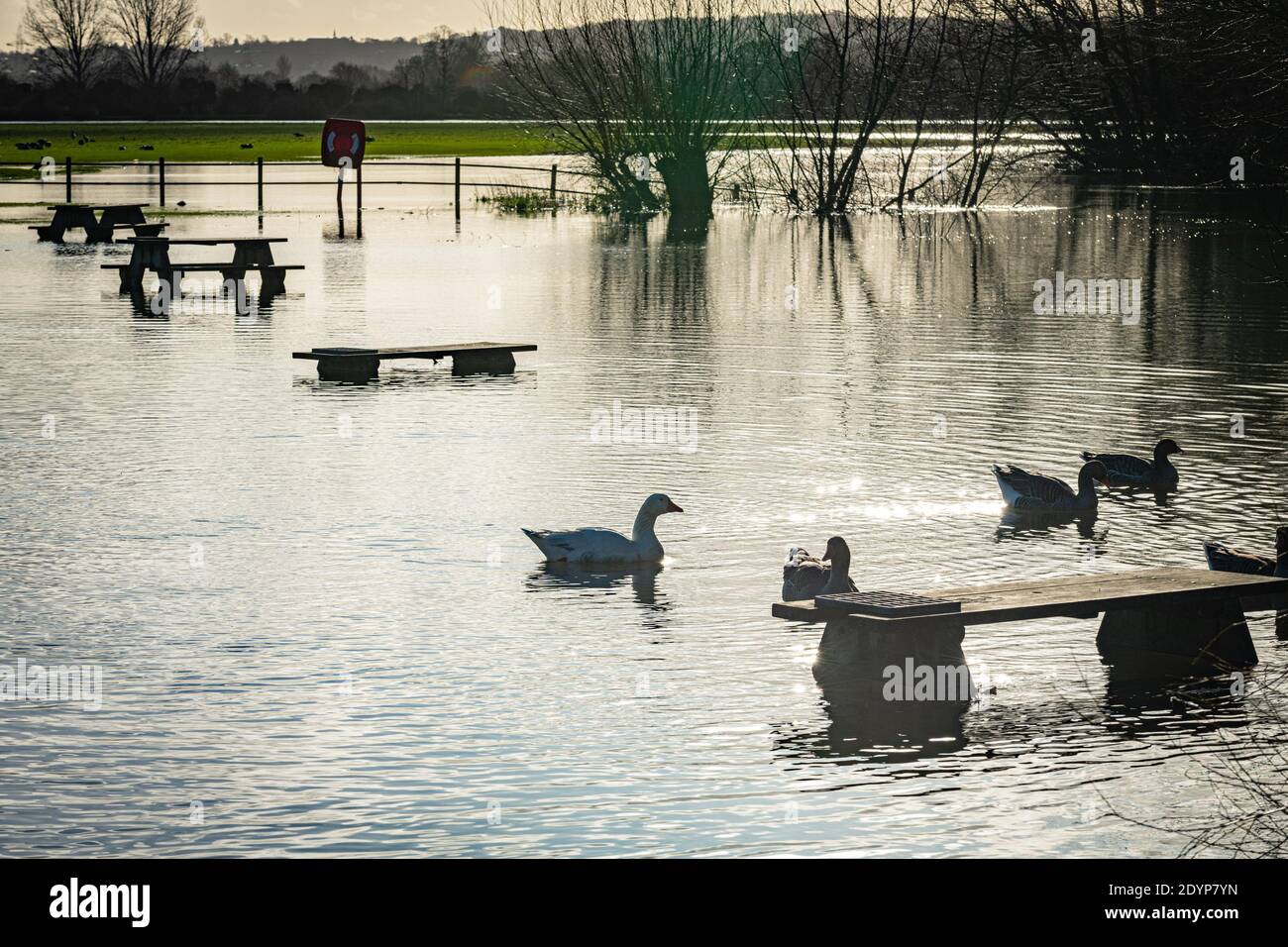 Wolvercote, Oxfordshire, UK. 27 December, 2020. Picnic tables in the Wolvercote Common are flooded. Flooding in Oxfordshire. Storm Bella brought even more rain to Oxfordshire causing flooding in low lying areas. Plenty of people are out exercising in the sunshine. Credit: Sidney Bruere/Alamy Live News Stock Photo