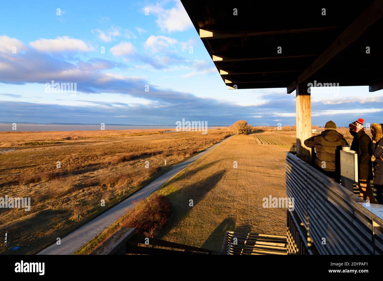 Illmitz: observation tower at Hölle in national park Neusiedler See–Seewinkel, view to Lake Neusiedl in Neusiedler See (Lake Neusiedl), Burgenland, Au Stock Photo