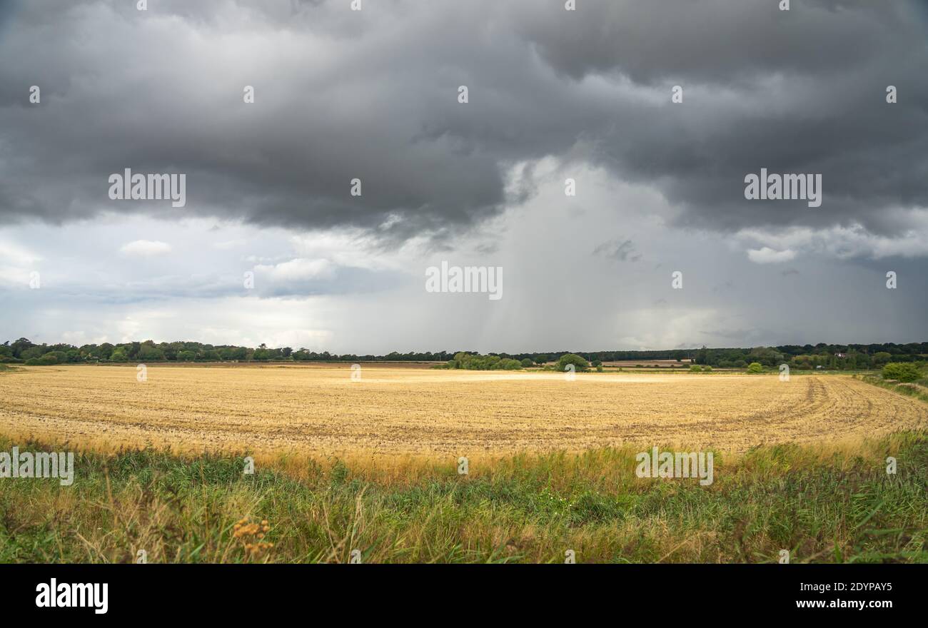 Clouds forming prior to a thunderstorm over late summer fields Stock Photo