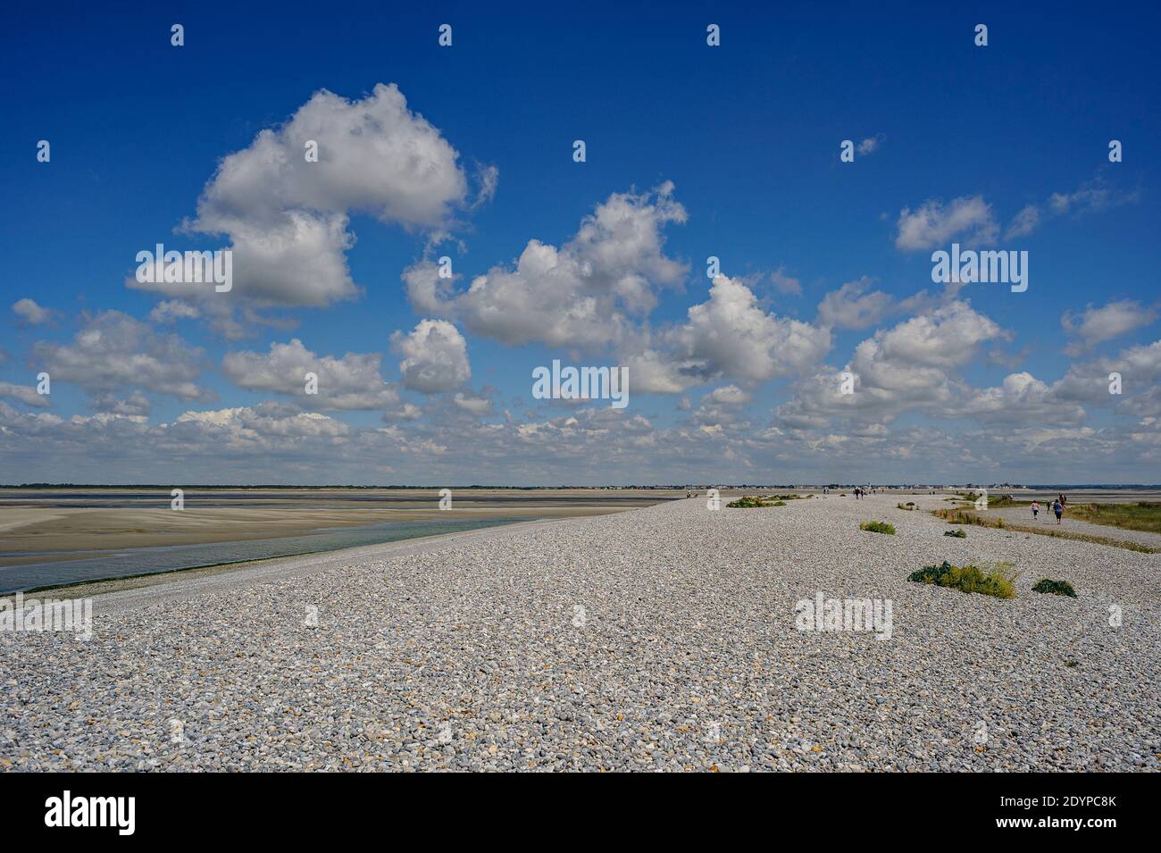 Vastness of the Baie de Somme - An immensity of sand in the Somme estuary under a beautiful blue sky. Surroundings of Le Tréport, France. Stock Photo