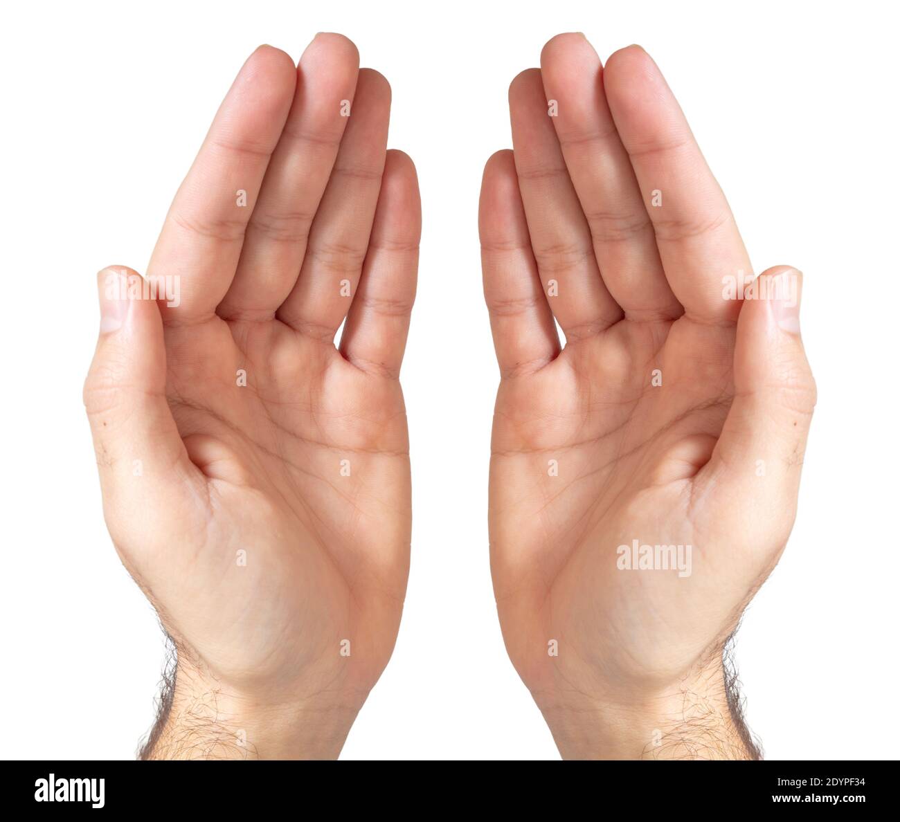 Male empty cupped hands isolated on white background. Man hands showing  presenting or pray, peace concept Stock Photo - Alamy