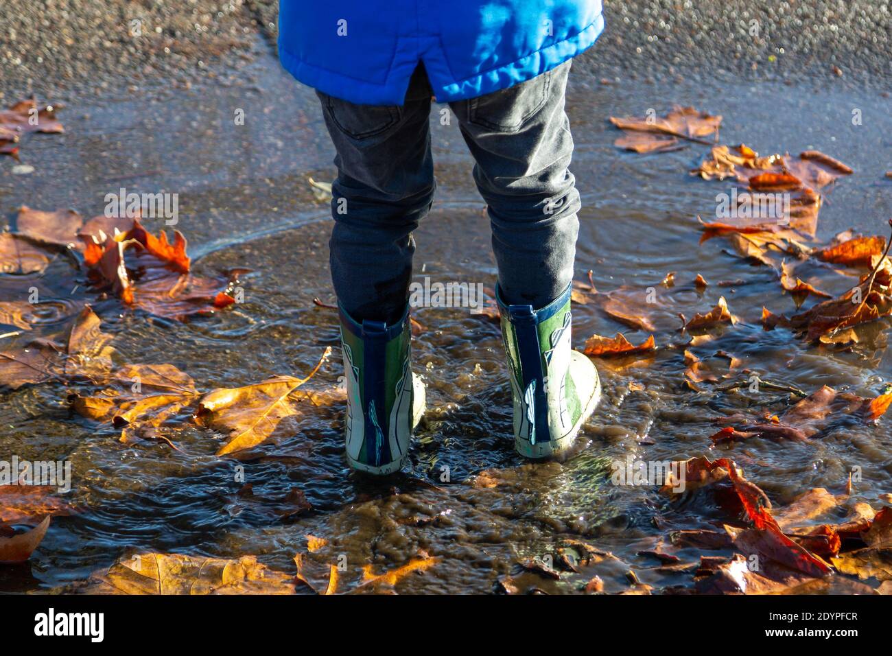 the legs of a child wearing wellies jumping in puddles splashing Stock Photo