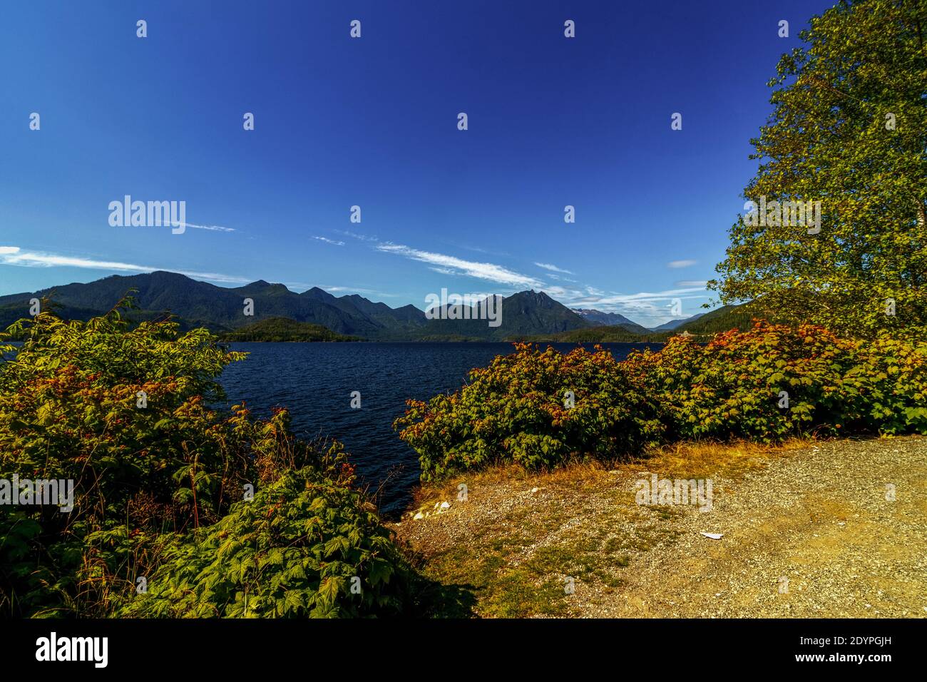 Lake without a beach Kennedy Lake. Kennedy lake is located between