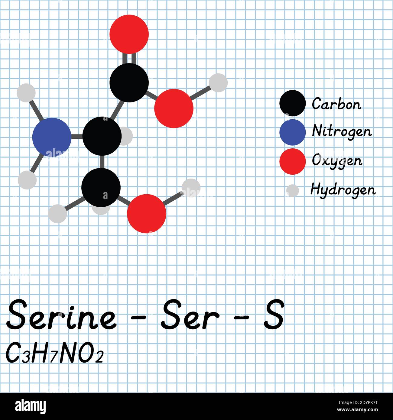 Serine - Ser - S Amino Acid molecular formula and chemical structure . 2D Ball and stick model on school paper sheet background. EPS10 Stock Vector