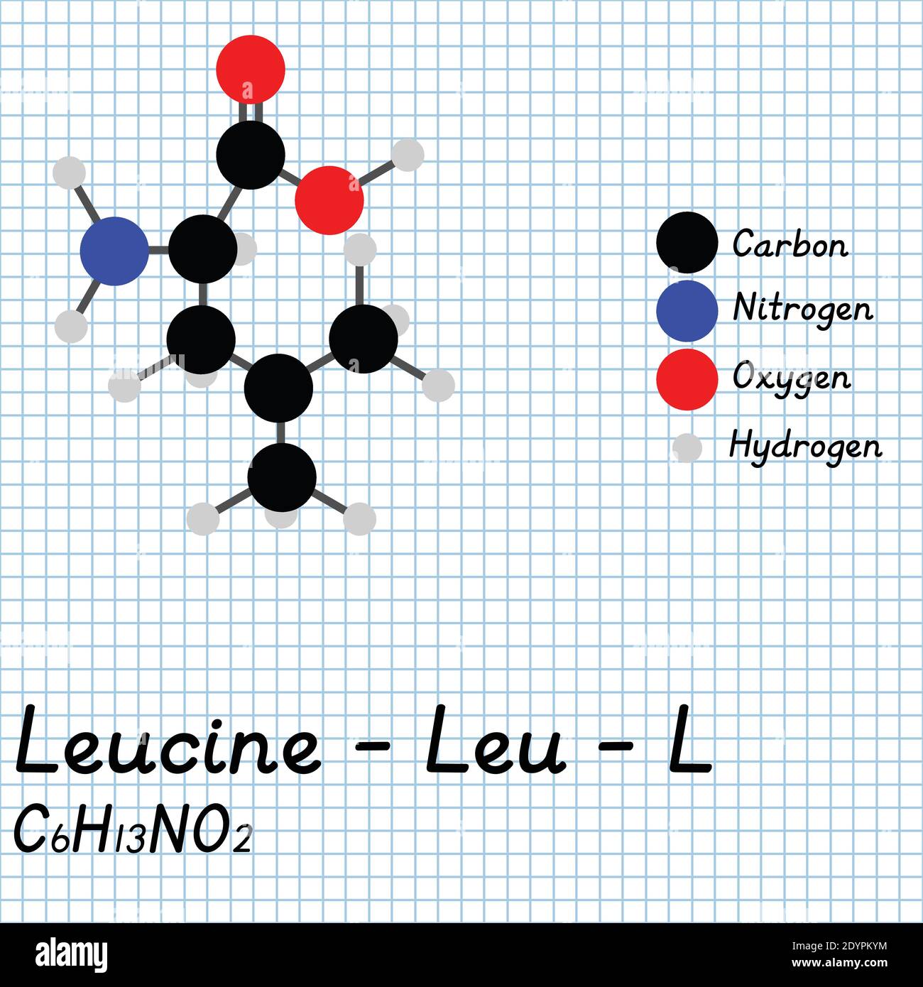 Leucine - Leu - L Amino Acid molecular formula and chemical structure . 2D Ball and stick model on school paper sheet background. EPS10 Stock Vector