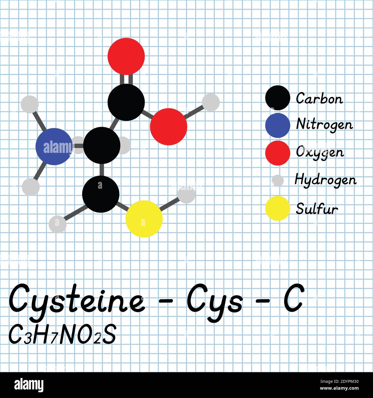 Cysteine - Cys - C Amino Acid molecular formula and chemical structure . 2D Ball and stick model on school paper sheet background. EPS10 Stock Vector